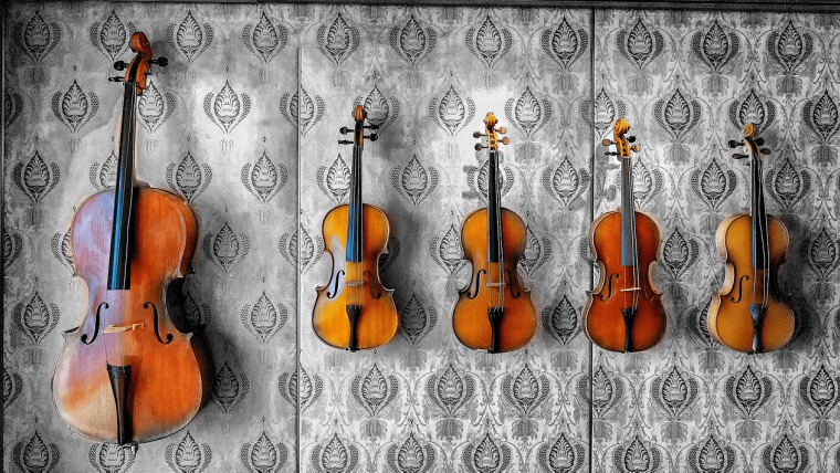 バイオリンの独学をエレキバイオリンで始めた理由は エレキバイオリンにして良かった点 悪かった点 Satsuragi Zakki Com